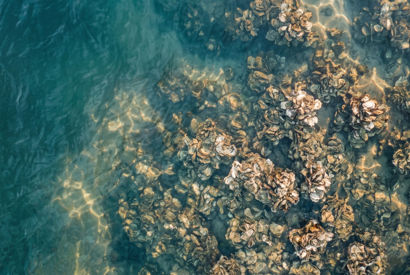 Close-up of a sage bio-composite piece showing its surface